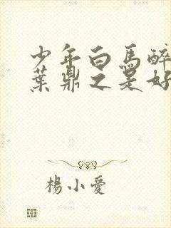 少年白马醉春风叶鼎之是好人吗封面