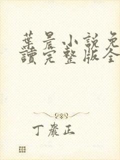 叶晨小说免费阅读完整版全文封面