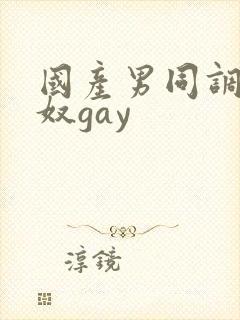国产男同调教男奴gay