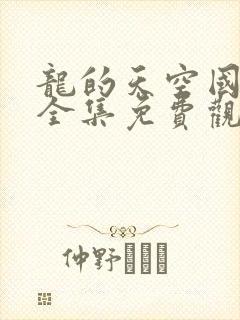 龙的天空国语版全集免费观看封面