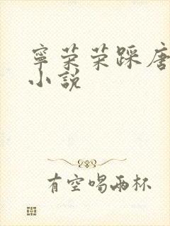 宁荣荣踩唐三脸小说