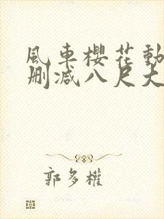 风车樱花动漫无删减八尺大人