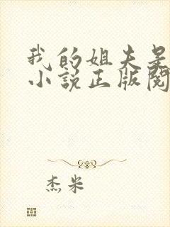 我的姐夫是太子小说正版阅读