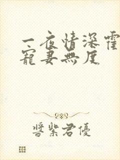 一夜情深霍先生宠妻无度