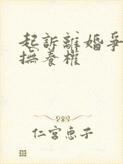 起诉离婚争孩子抚养权封面