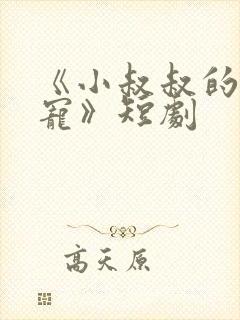 《小叔叔的心尖宠》短剧