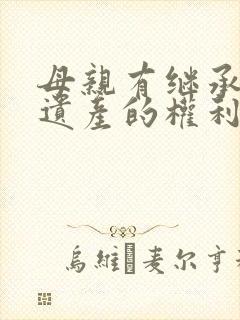 母亲有继承儿子遗产的权利吗封面