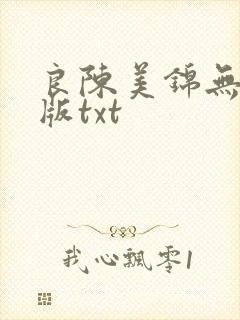 良陈美锦无删减版txt