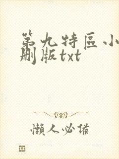 第九特区小说未删版txt