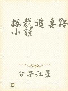 总裁追妻路漫漫小说