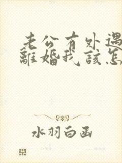 老公有外遇提出离婚我该怎么办