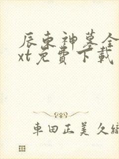 辰东神墓全本txt免费下载