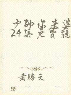 少帅你老婆又跑24集免费观看