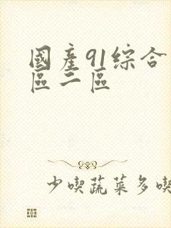国产91综合一区二区