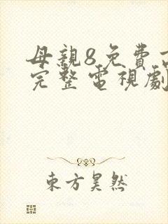 母亲8免费高清完整电视剧
