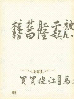 校花肚子被灌浓精白隆起h小说封面