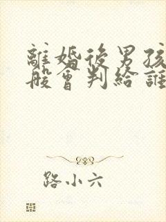 离婚后男孩子一般会判给谁