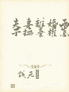 夫妻离婚两个儿子抚养权怎么判定