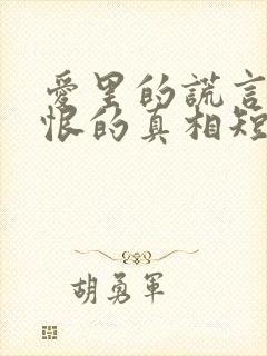 爱里的谎言,仇恨的真相短剧全集观看封面