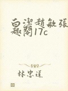 白洁赵敏张倩笔趣阁17c