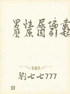 男性尿偏黄是什么原因引起的