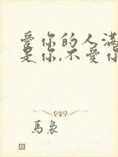 爱你的人满眼都是你,不爱你的人封面