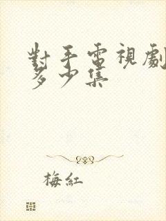 对手电视剧一共多少集