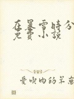 在暴雪时分在线免费小说