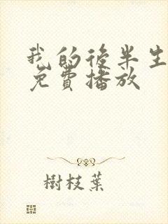 我的后半生全集免费播放封面