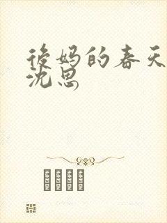 后妈的春天李兵沈思封面