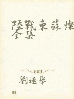 陆战东苏灿免费全集