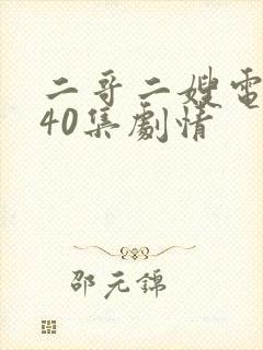 二哥二嫂电视剧40集剧情