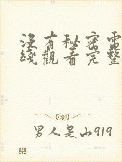 没有秘密电影在线观看完整版