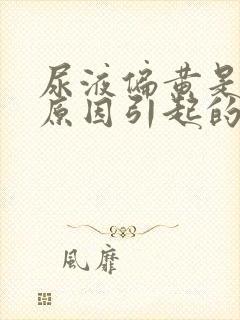 尿液偏黄是什么原因引起的