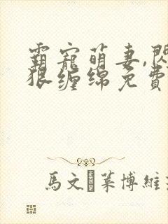 霸宠萌妻,闪婚狠缠绵免费阅读封面