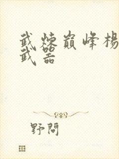 武炼巅峰杨开的武器