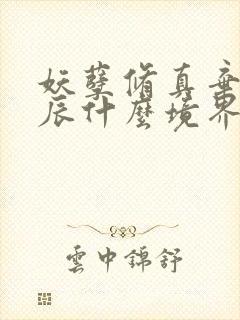 妖孽修真弃少叶辰什么境界