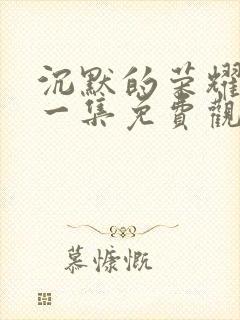 沉默的荣耀第十一集免费观看