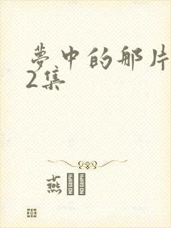 梦中的那片海32集