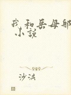 我和岳母那些事 小说