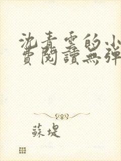 沈青云的小说免费阅读无弹窗封面