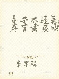 鼻子不通气嗓子疼有黄痰吃什么药