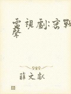 电视剧:密战无声