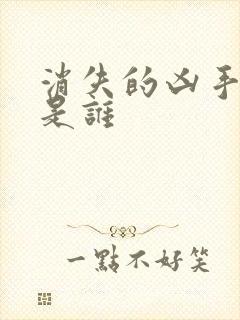 消失的凶手赵伦是谁封面