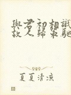 与君初相识恰似故人归策驰影院在线观看封面