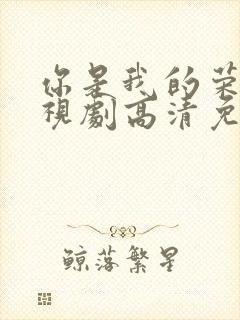 你是我的荣耀电视剧高清免费观看