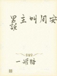 男主叫周安的小说