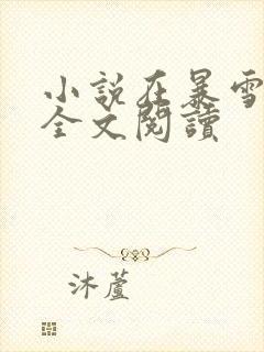 小说在暴雪时分全文阅读封面