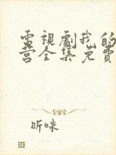 电视剧我的特一营全集免费观看