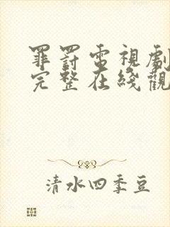 罪罚电视剧全集完整在线观看免费